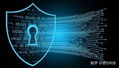 Web3.0、IPFS與Filecoin的協(xié)同演進(jìn) 信息系統(tǒng)集成服務(wù)的視角